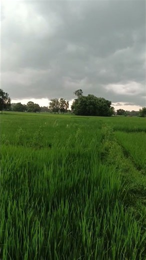 frist 100k Nature rain 🌧️ vs sun ☀️