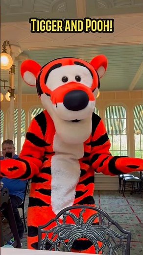 Best! Tigger and Pooh! Disney World! #tigger #disneyworld #shortsfeed