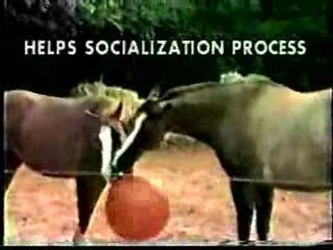 Horseballs® Video Introduction