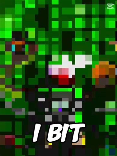 64 bit 32 bit 16 bit 6 bit