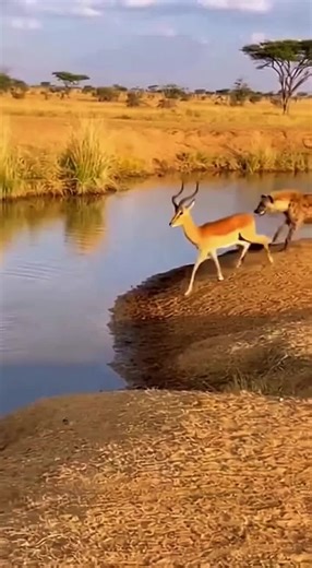 Self Defence (@selfdefence51)’s videos with sonido original - ❤️Dadou la charmante❤️♎️🌺🦋