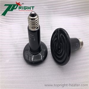 [Hot Item] Ceramic Heat Emitter Lizards Heating Lamp