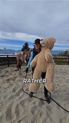 Instead of just walking in circles, try a little yo-yo exercise with your horse. Forwards, backwards... Make it easy to do small things well, rather than trying to desensitize him all at once. Keep sessions short and watch him thrive. #HorseTraining #EquestrianLife #Horsemanship #HorseCare #Patience | Mastery Horsemanship