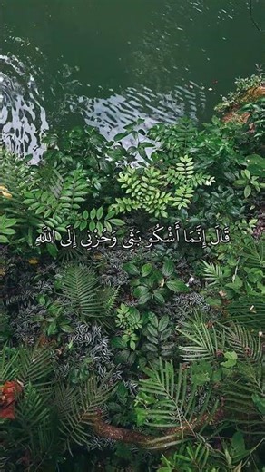 إنما أشكو بثي وحزني إلى الله تلاوة حزينة ❤️ سورة يوسف من آية ٨٦ إلى آية ٨٦