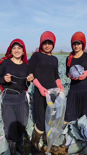 Sinem Aral (@snm_aral) adlı kullanıcının orijinal ses - azad 21_35 ile oluşturduğu videoları