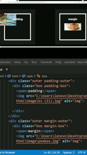 Padding vs Margin 🤯 CSS Difference in 20 Seconds