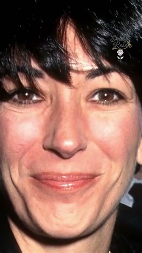 Multiple Storage Units Suggest Organized Evidence Network