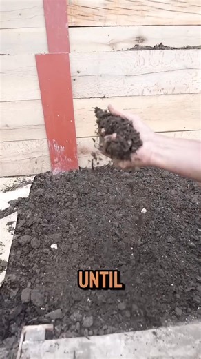 11K views · 34 reactions | Autumn is one of the best times to plant!...