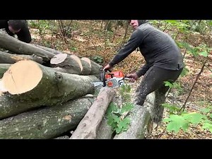 From First Cut to Final Log — Full Chainsaw Workflow