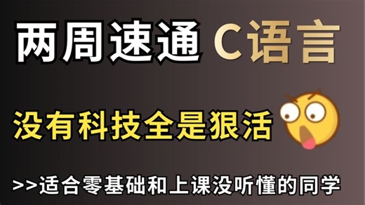 【敢称全站最细】2025全新为零基础量身录制的C语言教程，整整300集，全程干货无废话！还学不会退出编程界
