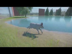Planet Zoo Animal Spotlight: Dall Sheep!!
