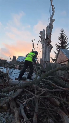 Мимо дерева под динамичную музыку walked past a tree to dynamic music