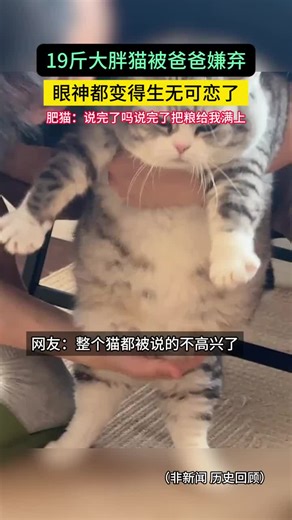 Exploring the Mischief of Cats