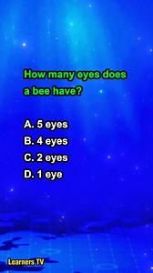 How many eyes does a bee have? #learnerstv #learning #education #knowledge #quiz | Learners TV