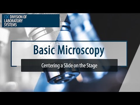 Basic Microscopy – Centering a slide on the stage