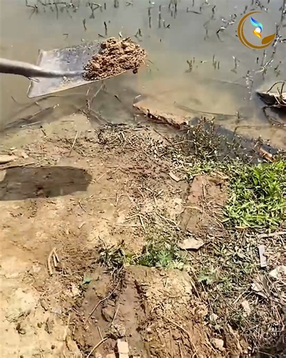 Easy scent hack to catch more fish! | The Sky of Freedom