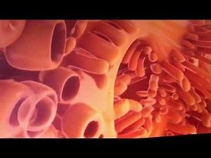 Nickelodeon Idents l 2010 Idents l