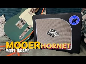 Mooer Hornet Modelling Amp Review