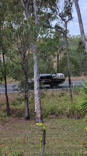 #Toyota Land Cruiser 79 Series dual cab ute in Australia 🇦🇺 👌 😀