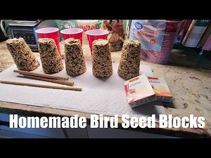 Making Seed Blocks for the Birds