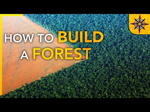 How to Build a Forest