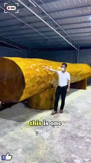 Tech Hub on Instagram: "Discover the mesmerizing beauty of Golden Nanmu, one of the world’s rarest and most expensive woods, once reserved exclusively for Chinese royalty. Valued at over $3 million per log, its true secret lies in a natural crystalline resin that protects it from rot and insects for over a millennium. Often called the "Immortal Wood," it has anchored ancient palaces and temples for centuries without the need for modern chemicals. Today, this protected treasure remains a symbol o