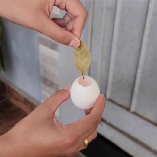 BAY LEAF in EGGSHELL, my grandmother taught me and I NEVER stopped!! It's incredible... | Wonderful Recipes and Tips