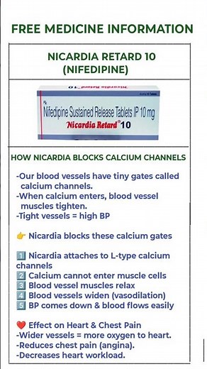 How Nicardia Blocks Calcium Channel? | Nifedipine Working Explained | BP Medicine.