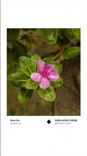 How to use pro mode in mobile 📱#smartphone #photography #photoediting