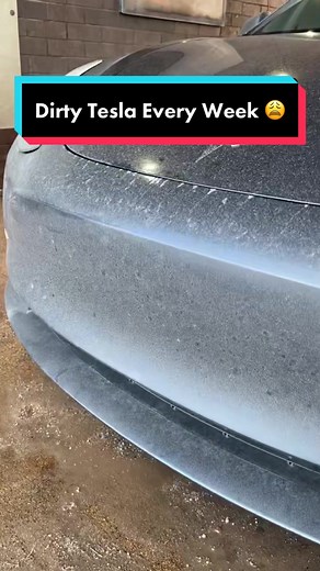 Cleaning My Dirty Tesla After a Snowy Week