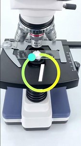 Snowflake under microscope 🔬 💀