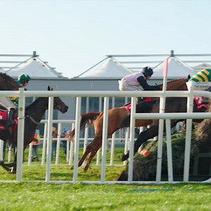 72 reactions | BIG WEEKEND IN-BOUND NOV 22/23 ⭐Premiere Weekend Is About The Biggest Stars⭐ Saturday 22nd and Sunday 23rd November €25 two-day ticket ends soon! Join us for a weekend of top class sport featuring two Grade 1 races with the Unibet Morgiana on Saturday and the John Durkan Chase on Sunday. Live music & free bus to Naas and more. Family trip to Lapland to be won. Book today www.punchestown.com  | Punchestown | Facebook