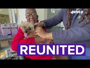 Dog reunited with elderly owner