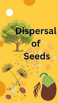 Dispersal of Seeds // Seeds Dispersal // Scatter of seeds