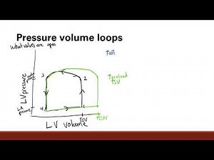 Pressure Volume Loops | Cardiovascular system | Step 1 Simplified