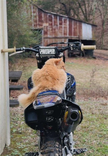 holy clean | #viral #trending #fyp #trending #trending | Clean TikTok Dances