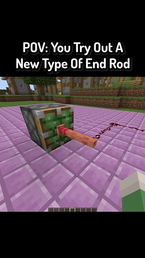 24K views · 501 reactions | POV: You Try Out A New Type Of End Rod In Minecraft #minecraft #minecraftmemes #funnymoments | Saroneymc | Facebook
