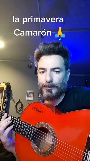 #laprimavera #Camaron sacando la intro de La Primavera de Camarón 🙏#pacodelucia #tomatito #parati #fypシ #flamenco #francishernandez