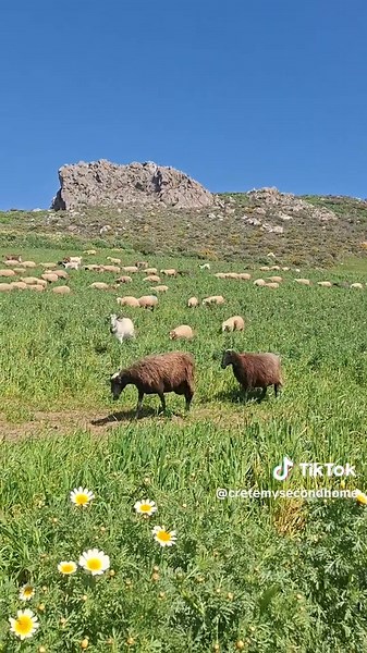 Exploring Plakias: A Hidden Gem in Crete