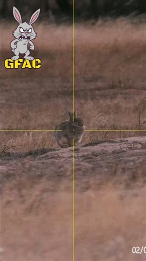 EPIC SHOT! See to believe what happens when this rabbit gets hit! #hunting #australia #rabbit