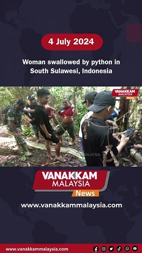 Woman Swallowed by Python in South Sulawesi, Indonesia