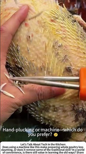 Speedy Plucker: Cleaning a Duck with a Handheld Machine 🔧🦆