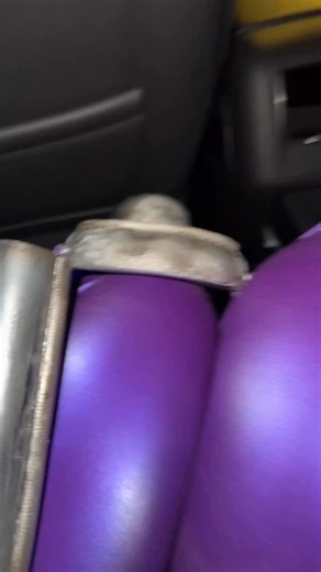 312K views · 72 reactions | @larray s Cat in the Hat visits me in my nightmares | Quenlin Blackwell | Facebook