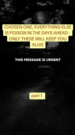 chosen one 0031 (@chosen.one.0031)’s videos with original sound - Chosen BMW 01