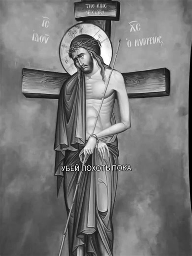 ☦️STIMLY ☦️ (@truth_christianity)’s videos with оригинальный звук - ☦️STIMLY ☦️