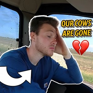I Almost Lost $20,000 In Cattle! *Phew* | Sonne Farms