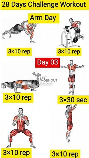 Day 3: Arm Day Workout | 30 Days Home Fitness Challenge #teamhamza