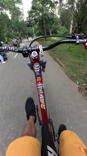 Stunts en Bicicleta: Trucos y Videos Impactantes