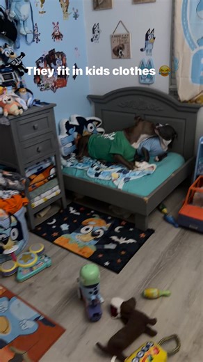 27K views · 1.2K reactions | My babies really fit kids clothes  #fypppppppppppppppppppppppppppppppppppppppppppppppppppppppppppppppppppppp | Grace Alverez | Facebook