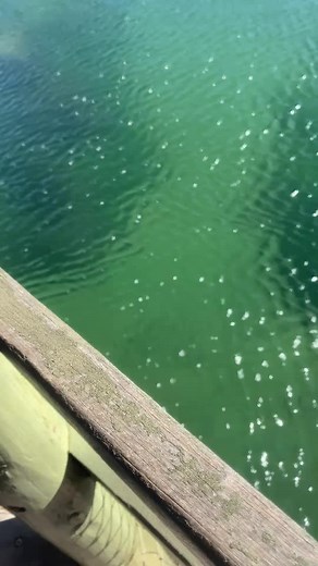 @blakeeditsyou my main account #friends